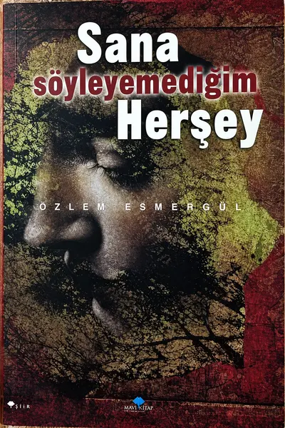 Sana Söyleyemediğim Her Şey afişi
