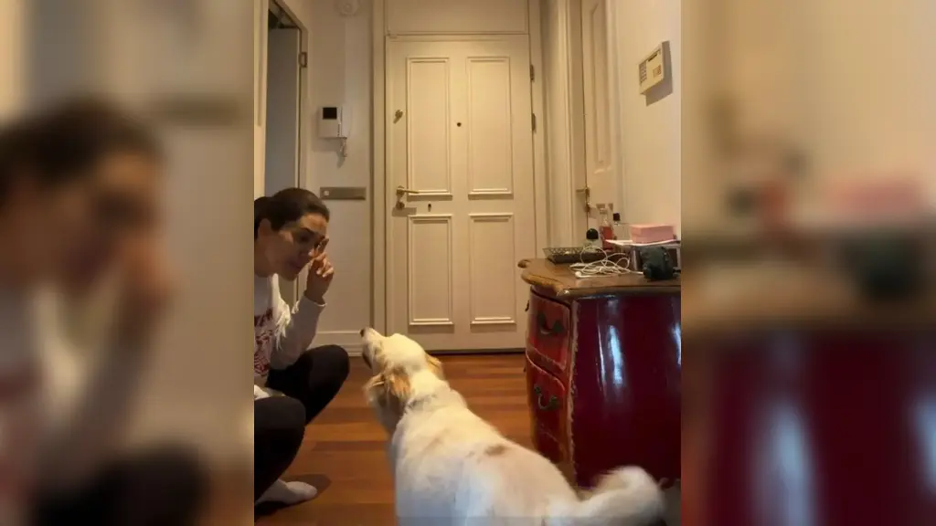 bergüzar korel köpeği ile oynarken