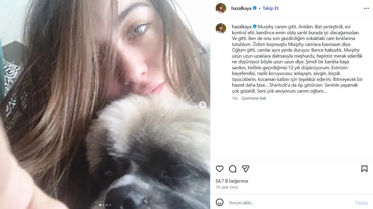 Hazal Kaya, Murphy’nin ani ölümünü Instagram’dan duyurdu