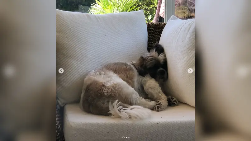 Kaya, Murphy ile 12 yıl geçirdiğini yazdı