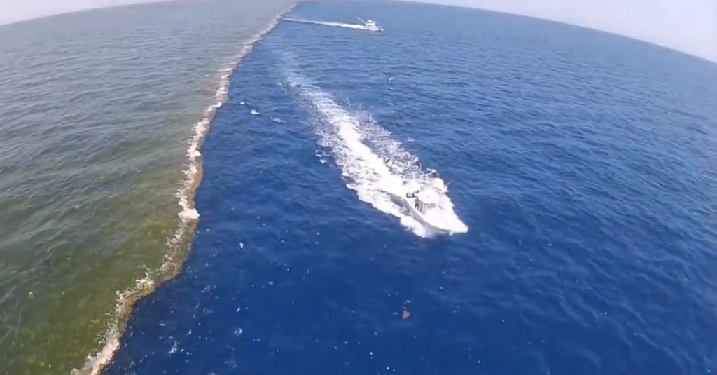 İki denizin karışmadığı yer neresi? Neden karışmıyor?